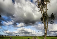 塞维利亚大胜瓦伦西亚，保持不败纪录