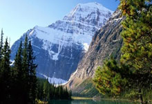 黄蜂队主帅透露对阵猛龙的防守策略